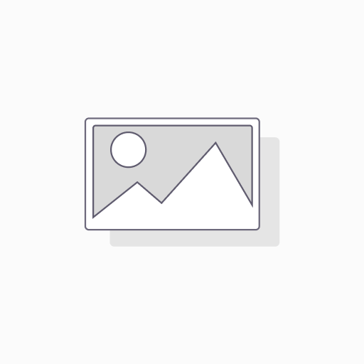 WEB:WP up2date